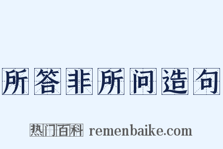 所答非所问造句是什么意思的图片